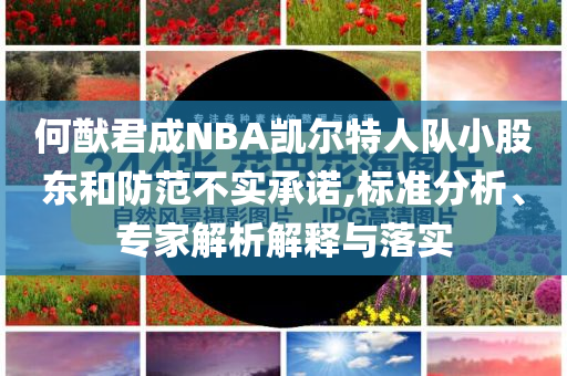 何猷君成NBA凯尔特人队小股东和防范不实承诺,标准分析、专家解析解释与落实