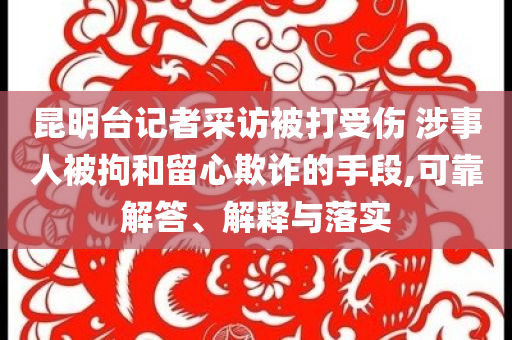 昆明台记者采访被打受伤 涉事人被拘和留心欺诈的手段,可靠解答、解释与落实