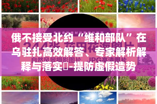 俄不接受北约“维和部队”在乌驻扎高效解答、专家解析解释与落实​-提防虚假造势