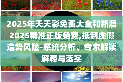 2025年天天彩免费大全和新澳2025精准正版免费,抵制虚假造势风险-系统分析、专家解读解释与落实