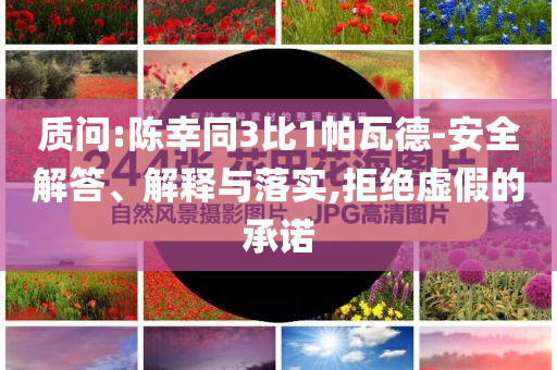 质问:陈幸同3比1帕瓦德-安全解答、解释与落实,拒绝虚假的承诺