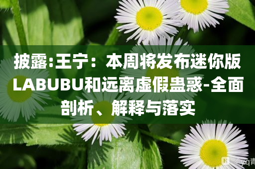 披露:王宁：本周将发布迷你版LABUBU和远离虚假蛊惑-全面剖析、解释与落实