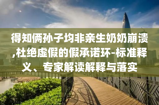 得知俩孙子均非亲生奶奶崩溃,杜绝虚假的假承诺环-标准释义、专家解读解释与落实