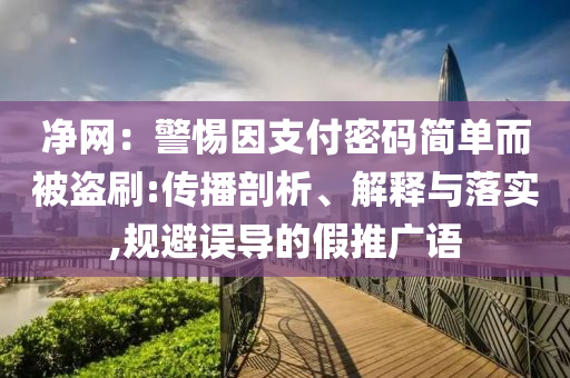 净网：警惕因支付密码简单而被盗刷:传播剖析、解释与落实,规避误导的假推广语