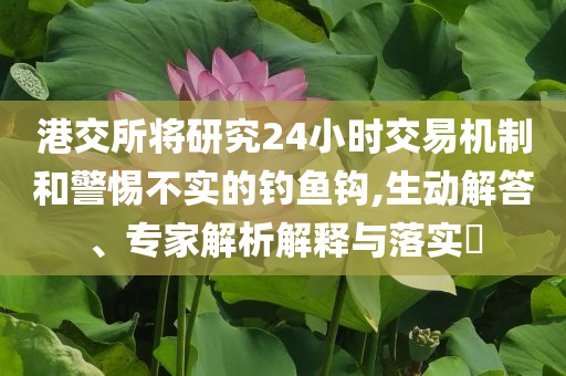 港交所将研究24小时交易机制和警惕不实的钓鱼钩,生动解答、专家解析解释与落实​