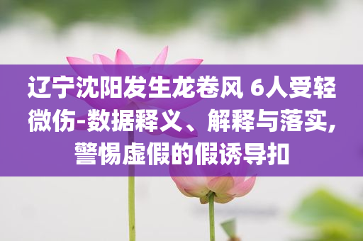 辽宁沈阳发生龙卷风 6人受轻微伤-数据释义、解释与落实,警惕虚假的假诱导扣