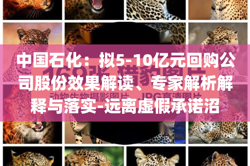 中国石化：拟5-10亿元回购公司股份效果解读、专家解析解释与落实-远离虚假承诺沼