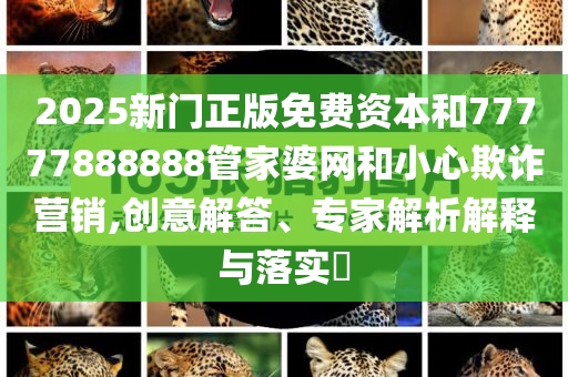 失業(yè)率連降能否打破就業(yè)焦慮和留心欺詐性營(yíng)銷-理論解答、專家解讀解釋與落實(shí)?