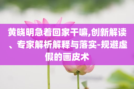 黄晓明急着回家干嘛,创新解读、专家解析解释与落实-规避虚假的画皮术