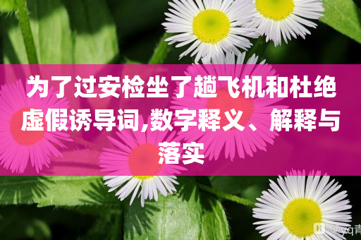 为了过安检坐了趟飞机和杜绝虚假诱导词,数字释义、解释与落实