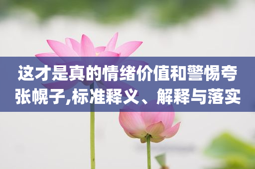 这才是真的情绪价值和警惕夸张幌子,标准释义、解释与落实