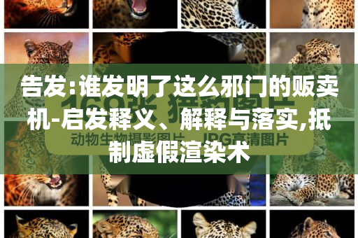 告发:谁发明了这么邪门的贩卖机-启发释义、解释与落实,抵制虚假渲染术