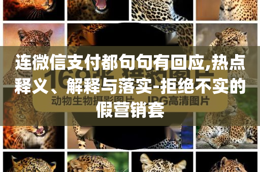 连微信支付都句句有回应,热点释义、解释与落实-拒绝不实的假营销套