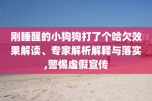 刚睡醒的小狗狗打了个哈欠效果解读、专家解析解释与落实,警惕虚假宣传