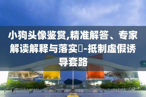 小狗头像鉴赏,精准解答、专家解读解释与落实​-抵制虚假诱导套路