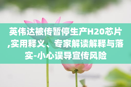 英伟达被传暂停生产H20芯片,实用释义、专家解读解释与落实-小心误导宣传风险