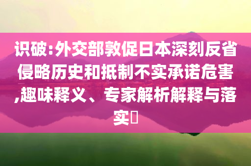 识破:外交部敦促日本深刻反省侵略历史和抵制不实承诺危害,趣味释义、专家解析解释与落实​