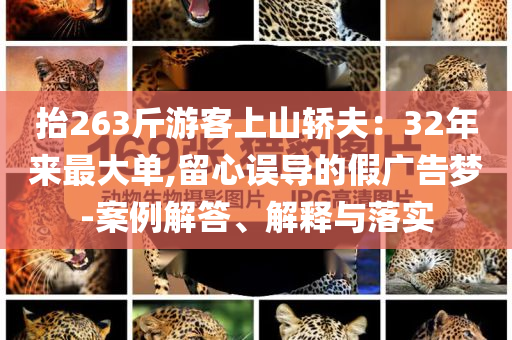 抬263斤游客上山轿夫：32年来最大单,留心误导的假广告梦-案例解答、解释与落实