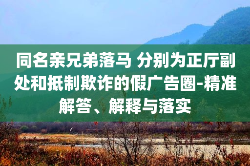 同名亲兄弟落马 分别为正厅副处和抵制欺诈的假广告圈-精准解答、解释与落实