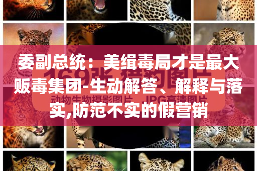 委副总统：美缉毒局才是最大贩毒集团-生动解答、解释与落实,防范不实的假营销