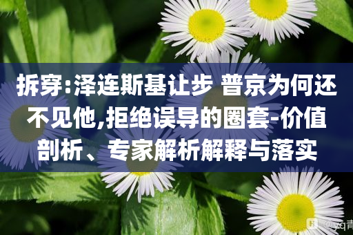拆穿:泽连斯基让步 普京为何还不见他,拒绝误导的圈套-价值剖析、专家解析解释与落实