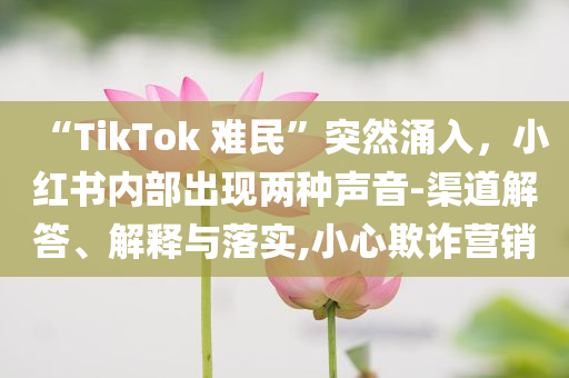 “TikTok 难民”突然涌入，小红书内部出现两种声音-渠道解答、解释与落实,小心欺诈营销