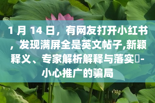 1 月 14 日，有网友打开小红书，发现满屏全是英文帖子,新颖释义、专家解析解释与落实​-小心推广的骗局