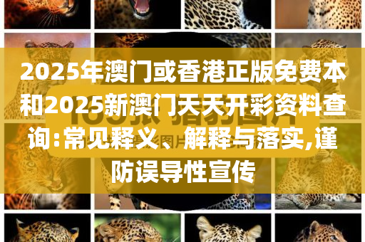 2025年澳门或香港正版免费本和2025新澳门天天开彩资料查询:常见释义、解释与落实,谨防误导性宣传