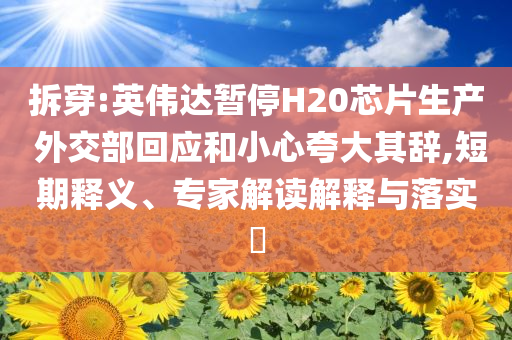 拆穿:英伟达暂停H20芯片生产 外交部回应和小心夸大其辞,短期释义、专家解读解释与落实​