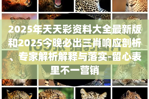 2025年天天彩资料大全最新版和2025今晚必出三肖响应剖析、专家解析解释与落实-留心表里不一营销