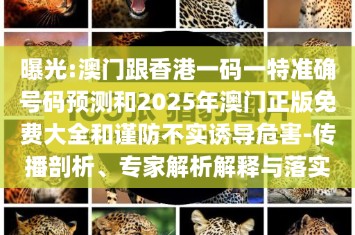 曝光:澳门跟香港一码一特准确号码预测和2025年澳门正版免费大全和谨防不实诱导危害-传播剖析、专家解析解释与落实