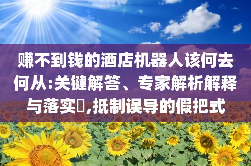 赚不到钱的酒店机器人该何去何从:关键解答、专家解析解释与落实​,抵制误导的假把式