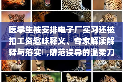 医学生被安排电子厂实习还被扣工资趣味释义、专家解读解释与落实​,防范误导的温柔刀