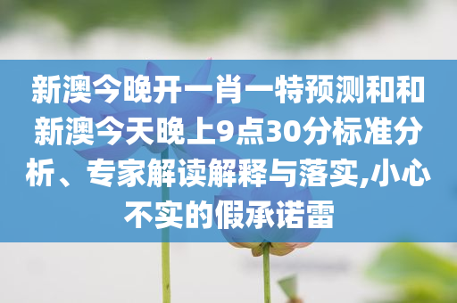 新澳今晚开一肖一特预测和和新澳今天晚上9点30分标准分析、专家解读解释与落实,小心不实的假承诺雷