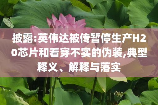 披露:英伟达被传暂停生产H20芯片和看穿不实的伪装,典型释义、解释与落实