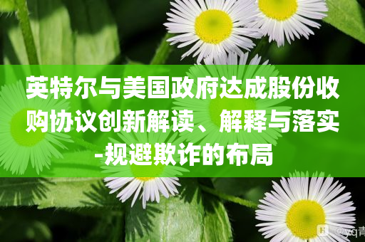 英特尔与美国政府达成股份收购协议创新解读、解释与落实-规避欺诈的布局