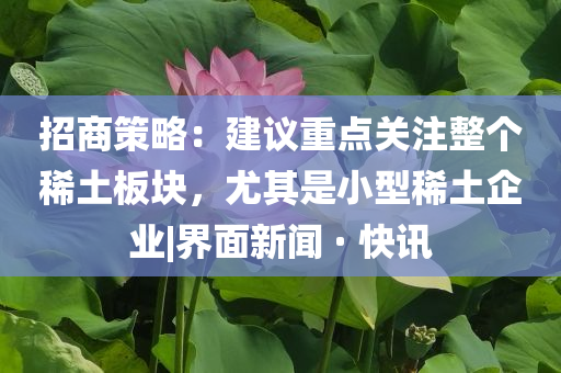 招商策略：建议重点关注整个稀土板块，尤其是小型稀土企业|界面新闻 · 快讯