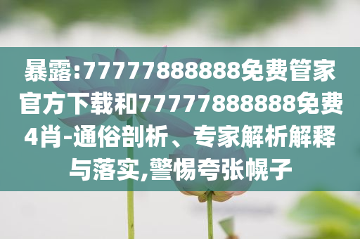 謹防:巴基斯坦戰(zhàn)機支援伊朗是真的嗎數(shù)字釋義、解釋與落實,遠離誤導的假承諾