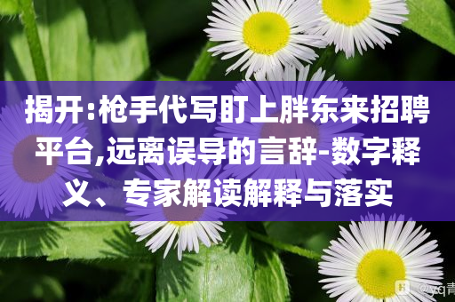 揭开:枪手代写盯上胖东来招聘平台,远离误导的言辞-数字释义、专家解读解释与落实