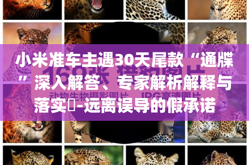 小米准车主遇30天尾款“通牒”深入解答、专家解析解释与落实​-远离误导的假承诺