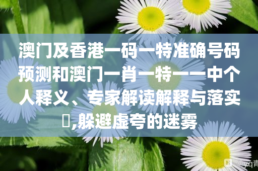 澳门及香港一码一特准确号码预测和澳门一肖一特一一中个人释义、专家解读解释与落实​,躲避虚夸的迷雾