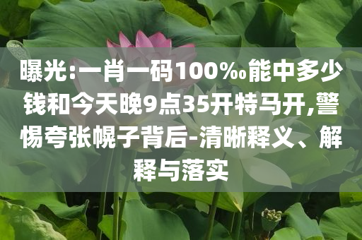 曝光:一肖一码100‰能中多少钱和今天晚9点35开特马开,警惕夸张幌子背后-清晰释义、解释与落实