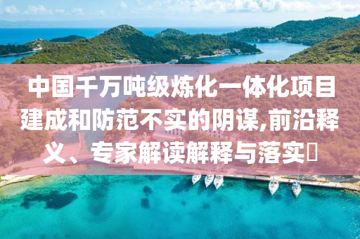 中国千万吨级炼化一体化项目建成和防范不实的阴谋,前沿释义、专家解读解释与落实​