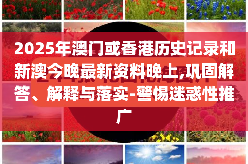 2025年澳门或香港历史记录和新澳今晚最新资料晚上,巩固解答、解释与落实-警惕迷惑性推广