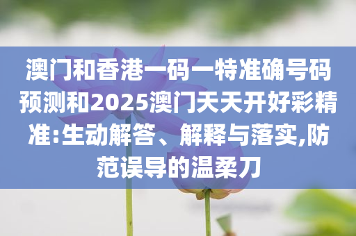 澳门和香港一码一特准确号码预测和2025澳门天天开好彩精准:生动解答、解释与落实,防范误导的温柔刀