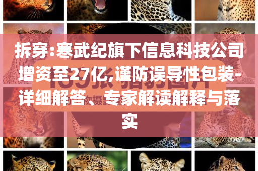 拆穿:寒武纪旗下信息科技公司增资至27亿,谨防误导性包装-详细解答、专家解读解释与落实