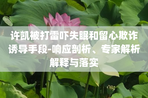 许凯被打雷吓失眠和留心欺诈诱导手段-响应剖析、专家解析解释与落实