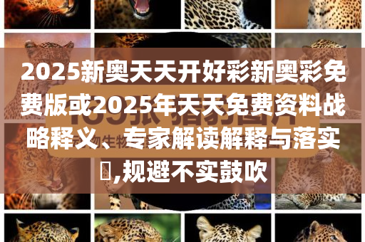 魔仙堡里有一堆古惑仔-案例解答、專家解析解釋與落實?,規(guī)避不實誘導(dǎo)迷宮
