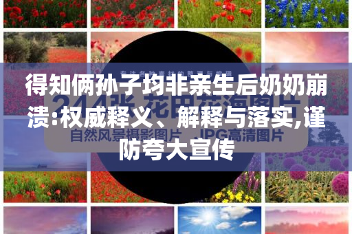 得知俩孙子均非亲生后奶奶崩溃:权威释义、解释与落实,谨防夸大宣传