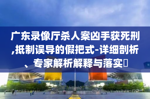 广东录像厅杀人案凶手获死刑,抵制误导的假把式-详细剖析、专家解析解释与落实​
